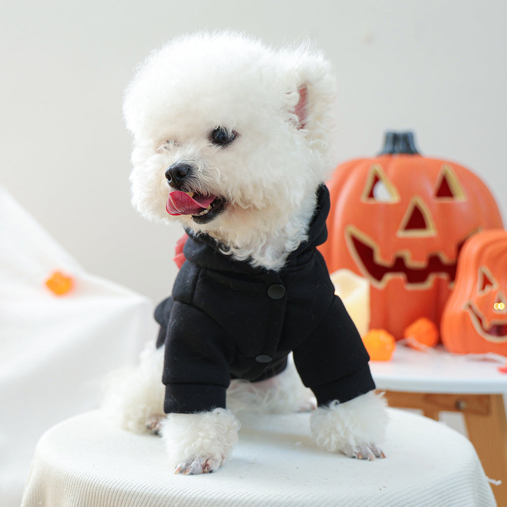 Pet Clothes for Small Dogs and Puppies, Dark Style Festival Outfit, Silver Skull Halloween Hoodie