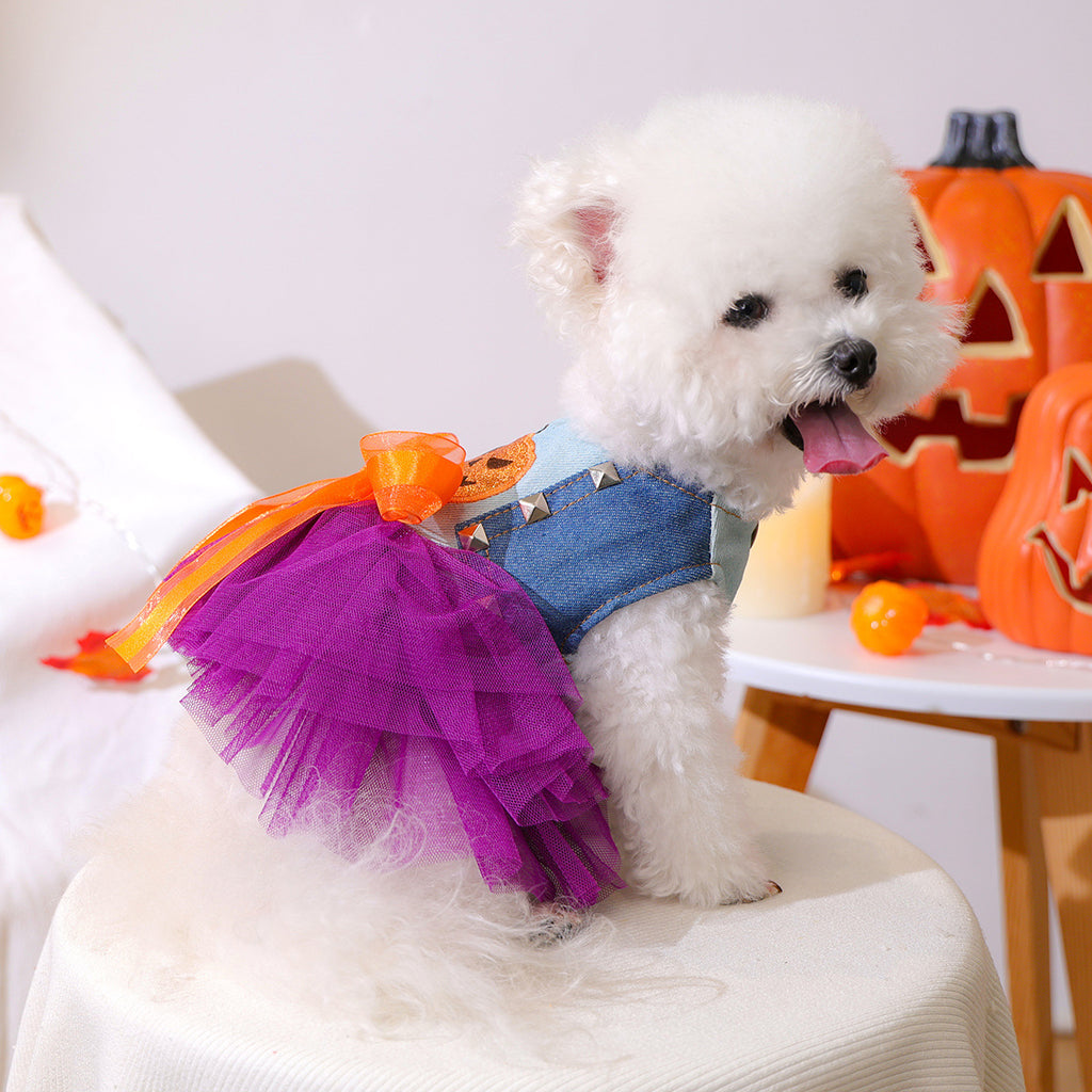 Pet Circle Spring Summer Cute Cartoon Pumpkin Style Whimsical Pumpkin Dress for Dogs and Cats